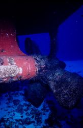 Dive Prop - C52 in Cozumel is great dive. You can safely ... by Michael Shope 